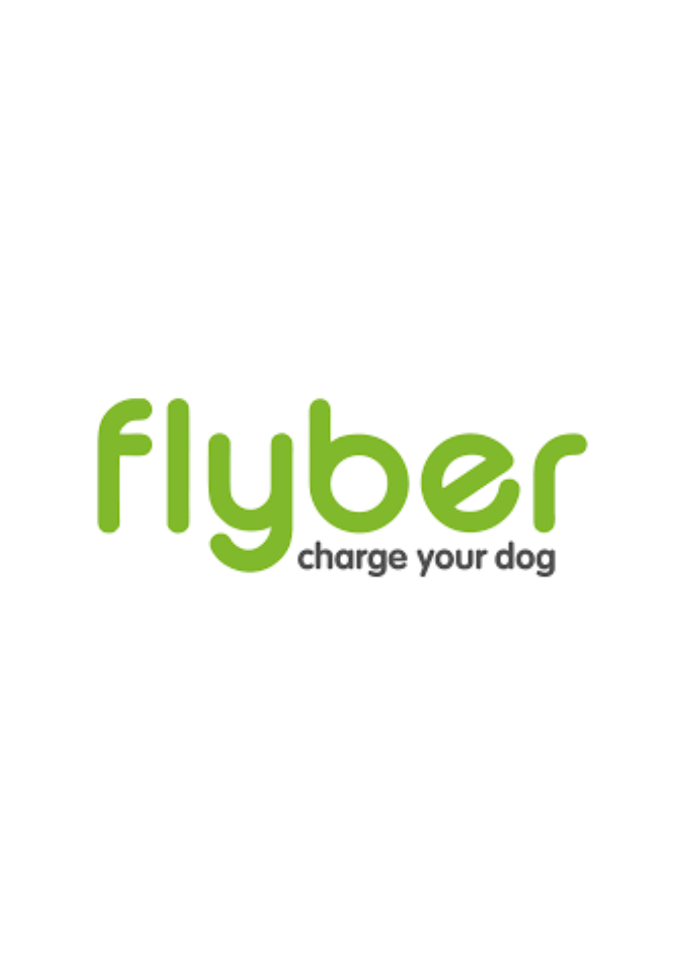 FLYBER