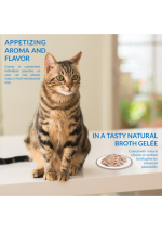 INABA Twin Packs Tuna & Chicken Recipe in Scallop Broth 40g - Image 2