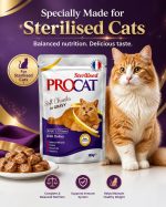 PROCAT Sterilised Soft Chunks in Gravy with Turkey 100g - Image 2
